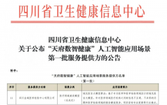 <b>层能力办事提拔、病院临床辅诊、便平易近办事</b>